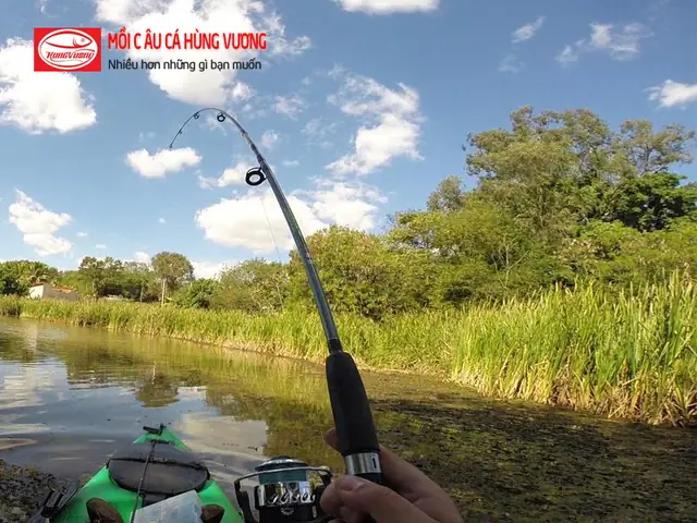 20 Điều Cần Biết Trong Câu Cá, Các Cụ Tham Khảo Và Rút Ra Kinh ...