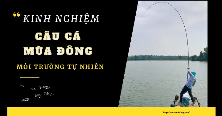 Kinh Nghiệm Câu Cá Mùa Đông Môi Trường Tự Nhiên - Vietnam Fishing
