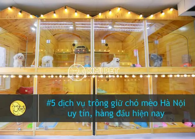 J & Pet Shop – Dịch Vụ Trông Giữ Chó Mèo Hà Nội