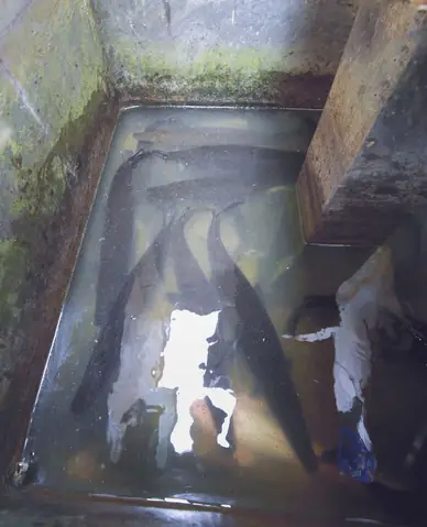 Nuôi Gà, Thả Cá, Trồng Rau Siêu Sạch Trên Sân Thượng 80m2