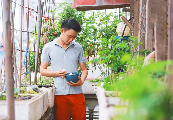 Nuôi Gà, Thả Cá, Trồng Rau Siêu Sạch Trên Sân Thượng 80m2