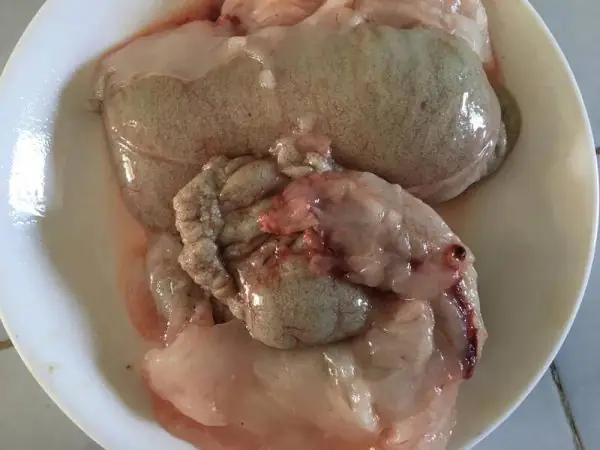 Trứng Cá Chép Non: Lợi Ích Dinh Dưỡng, Cách Sử Dụng Và Những Điều Cần Lưu Ý