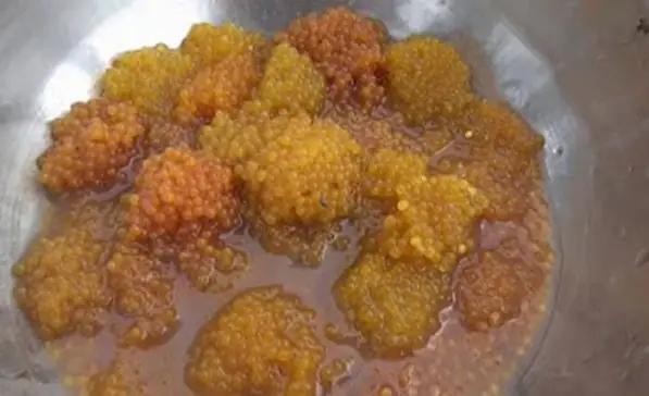 Kiên Giang: Bé Gái 13 Tuổi Tử Vong Sau Khi Ăn Trứng Cá Dọn Bể