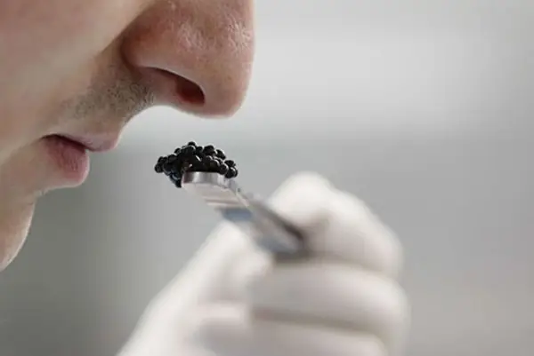 Trứng Cá Muối Siêu Sang – “vàng Đen Trên Bàn Tiệc”