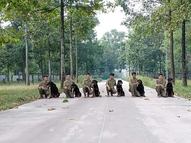 Trung Tâm Huấn Luyện Chó Cảnh