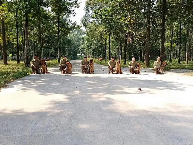 Trung Tâm Huấn Luyện Chó Cảnh