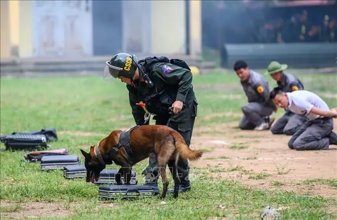 Trung Tâm Huấn Luyện Chó Nghệ An: Địa Chỉ Đáng Tin Cậy Cho Người Yêu Chó Trung Tâm Huấn Luyện Chó Nghệ An: Địa Chỉ Đáng Tin Cậy Cho Người Yêu Chó