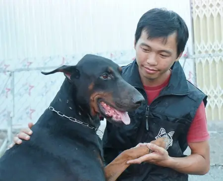 9x Cần Thơ Khởi Nghiệp Từ Nghề Huấn Luyện Chó