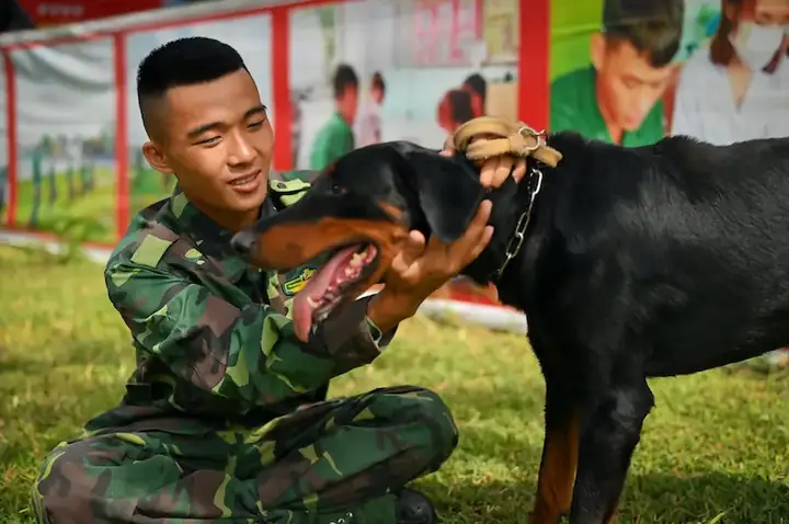 Trung Tâm Huấn Luyện Chó Nghiệp Vụ Quân Khuyển