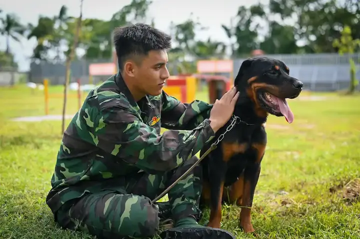 Trung Tâm Huấn Luyện Chó Nghiệp Vụ Quân Khuyển