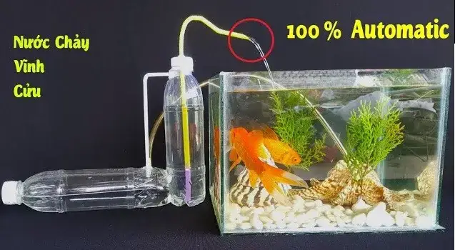 Tại Sao Nên Tự Chế Máy Bơm Nước Hồ Cá?