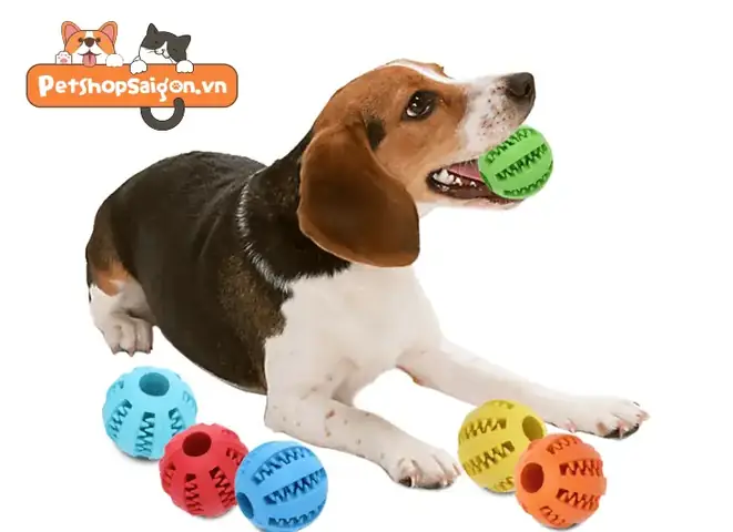 Bóng Ném Đồ Chơi