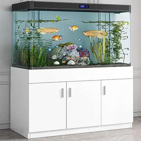 Giảm Căng Thẳng Và Cải Thiện Sức Khỏe Tinh Thần