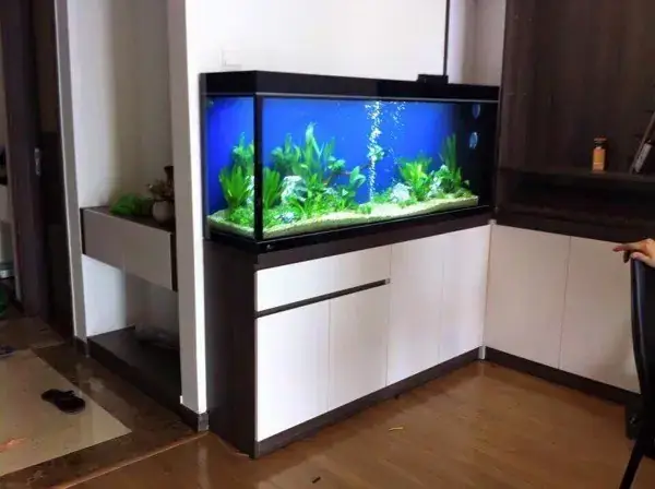 Lên Kế Hoạch Thiết Kế