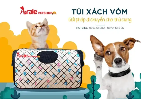 Chất Liệu Và Cấu Tạo