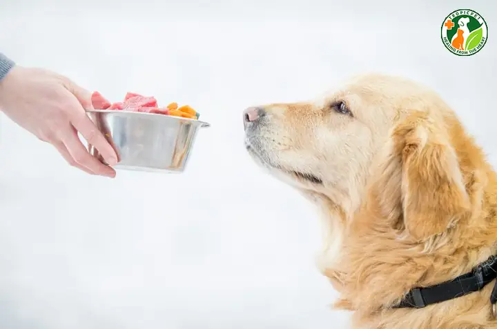 Chế Độ Dinh Dưỡng Hợp Lý