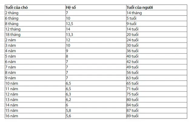 Tính Tuổi Thọ Chó So Với Người Là Như Thế Nào? Tính Tuổi Thọ Chó So Với Người Là Như Thế Nào?