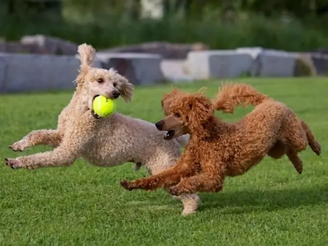 Xác Định Tuổi Qua Tính Cách