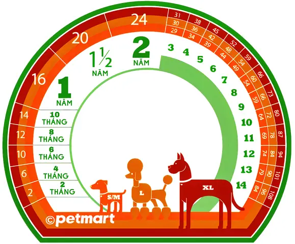 Cách Quy Đổi Tuổi Chó Bằng Lược Đồ Cách Quy Đổi Tuổi Chó Bằng Lược Đồ