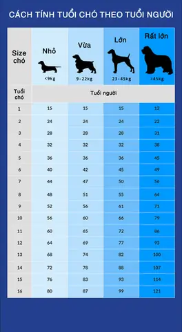 Tuổi Thọ Của Chó So Với Người: Cách Chuyển Đổi Và Các Yếu Tố Ảnh Hưởng Tuổi Thọ Của Chó So Với Người: Cách Chuyển Đổi Và Các Yếu Tố Ảnh Hưởng