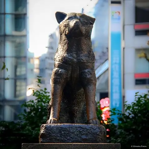 Tượng Đài Chú Chó Hachiko – Biểu Tượng Trung Thành Bất Tử Giữa Lòng Tokyo