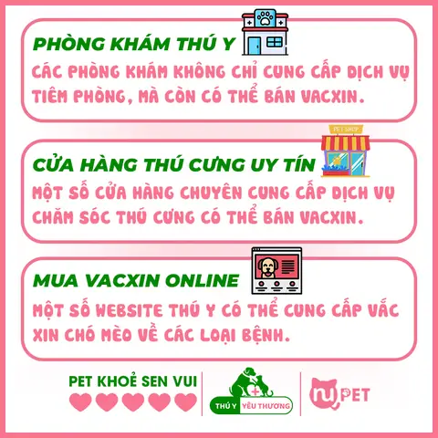 Mua Vacxin 7 Bệnh Cho Chó Ở Đâu?