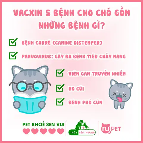 Vacxin 5 Bệnh Cho Chó Gồm Những Bệnh Gì?