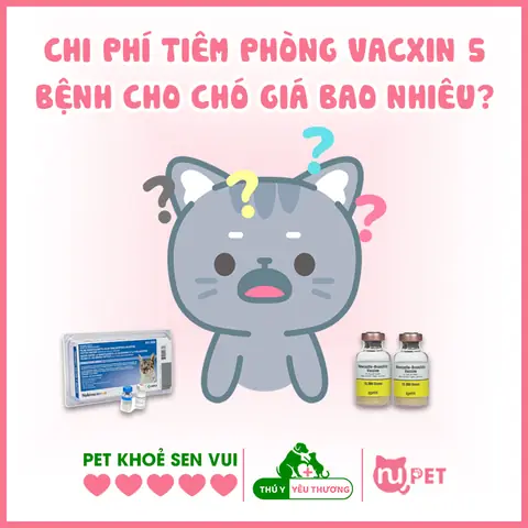 Tiêm Phòng Vacxin 5 Bệnh Cho Chó Giá Bao Nhiêu?