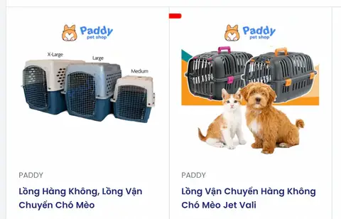 Vận Chuyển Chó Mèo Bằng Máy Bay