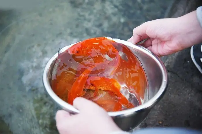 Văn Khấn Thả Cá Tết Ông Công Ông Táo - Báo Vtc News