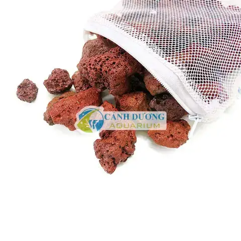 Tại Sao Hệ Thống Lọc Lại Quan Trọng Cho Cá Rồng?