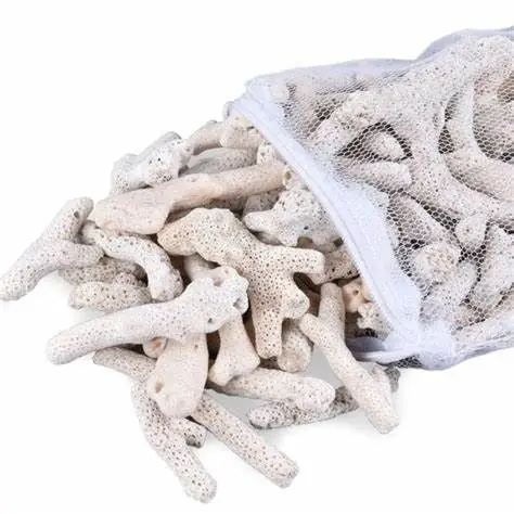 Vật Liệu Lọc Hồ Cá Nước Mặn: Hướng Dẫn Chi Tiết Từ A-z