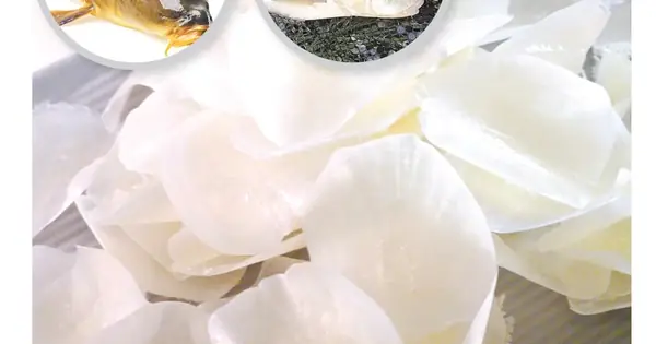 Vảy Cá Chứa Nhiều Chất Dinh Dưỡng Quý