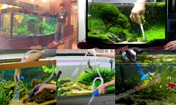 Dịch Vụ Vệ Sinh Hồ Thủy Sinh Đẹp Uy Tín Tp.hcm