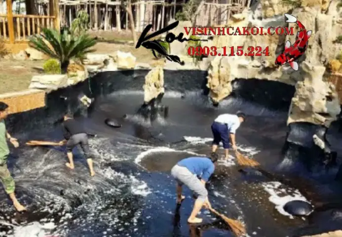 Vệ Sinh Hồ Cá Koi Định Kì Tiêu Chuẩn Vệ Sinh Hồ Cá Koi Định Kì Tiêu Chuẩn