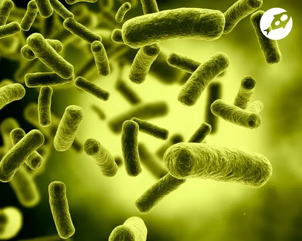 Tác Dụng Của Vi Sinh Trong Hồ Cá Tốt Hơn Bạn Tưởng – Men Vi Sinh ...