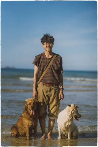 Hình Ảnh Cho Hình Ảnh 2 Con Chó: Hình Ảnh Cho Hình Ảnh 2 Con Chó: