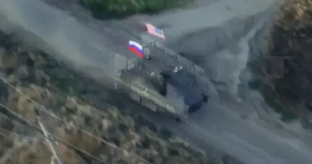 Video Những Chú Chó Cứu Hộ: Khi Bốn Chân Trở Thành Anh Hùng Video Những Chú Chó Cứu Hộ: Khi Bốn Chân Trở Thành Anh Hùng