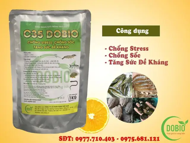Các Dạng Vitamin C Phổ Biến Cho Cá Và Cách Phân Biệt