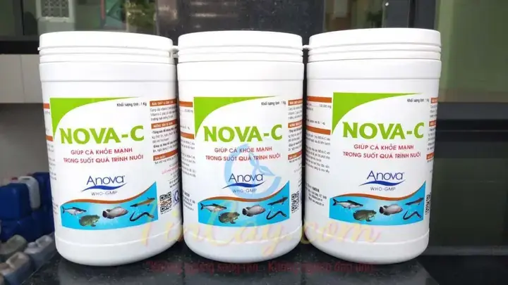 Vai Trò Quan Trọng Của Vitamin C Đối Với Cá Cảnh