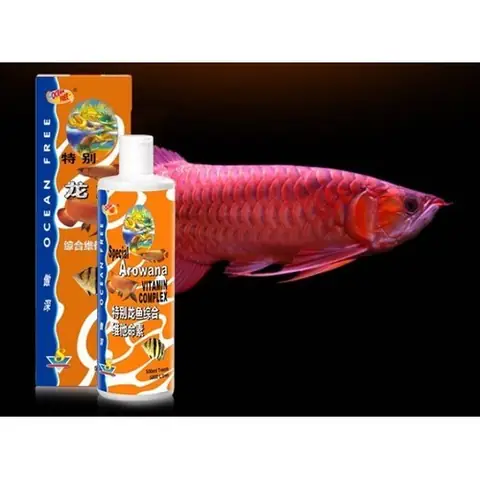 Vitamin Cho Cá Rồng: Hướng Dẫn Toàn Diện Về Dinh Dưỡng Tối Ưu Vitamin Cho Cá Rồng: Hướng Dẫn Toàn Diện Về Dinh Dưỡng Tối Ưu