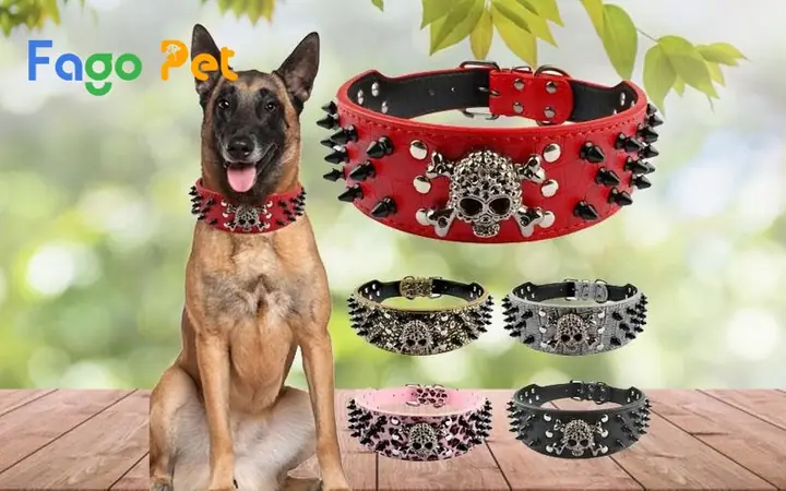 Hướng Dẫn Chọn Mua Vòng Cổ Cho Chó Pitbull: Chất Liệu, Kích Cỡ Và Sản Phẩm Tốt Nhất