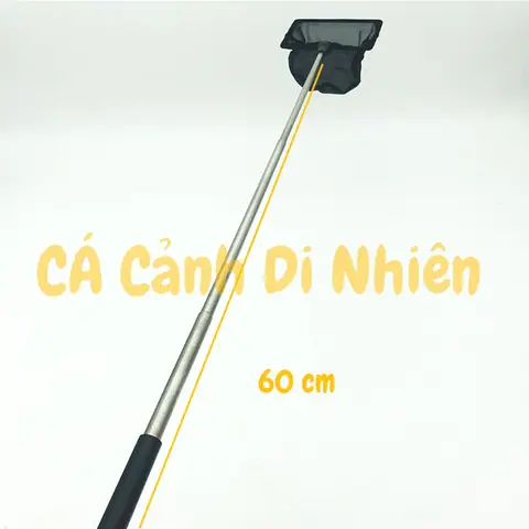 Vợt Vuông Lưới Bắt Cá Rio Có Thể Xếp Gọn Size 10 X 7.5 Cm Vợt Vuông Lưới Bắt Cá Rio Có Thể Xếp Gọn Size 10 X 7.5 Cm