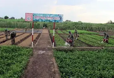 Vườn Cây Ao Cá Là Gì? Ý Nghĩa, Lợi Ích Và Cách Thiết Kế Trong Phong ...