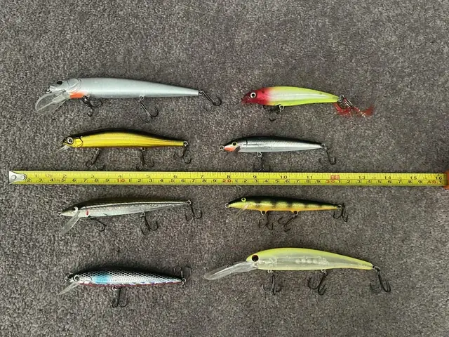 Walleye Là Cá Gì? Đặc Điểm, Môi Trường Sống Và Giá Trị Kinh Tế