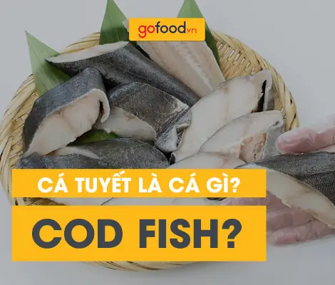 Cá Tuyết Là Cá Gì? Tìm Hiểu Thông Tin Đầy Đủ Về Cá Tuyết - Gofood