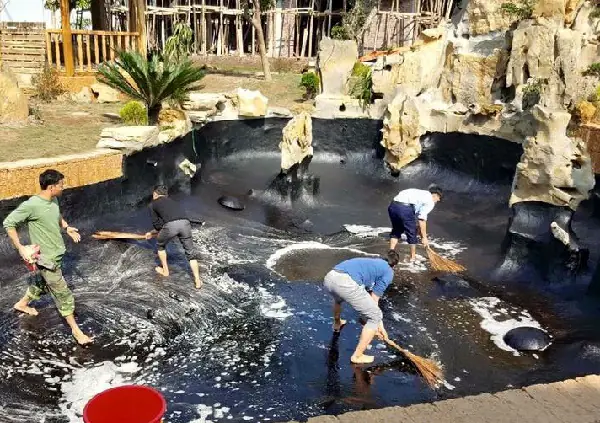 Chống Thấm Bề Mặt Bể Cá