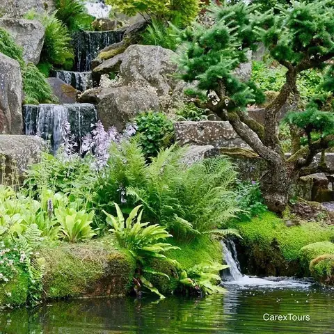 Tham Khảo Những Mẫu Hồ Cá Koi Tự Xây Chuẩn Đẹp