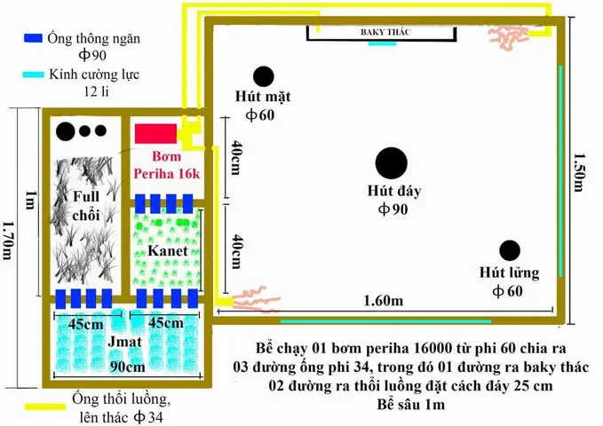 Bước 2 Phác Thảo Bản Vẽ Hồ Cá Koi