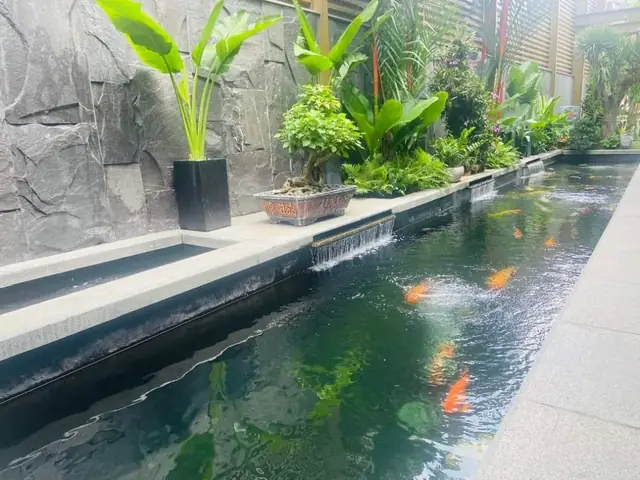 Tham Khảo Những Mẫu Hồ Cá Koi Tự Xây Chuẩn Đẹp